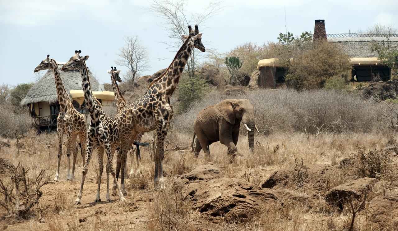 Hôtel Elerai Camp à Amboseli Extérieur photo